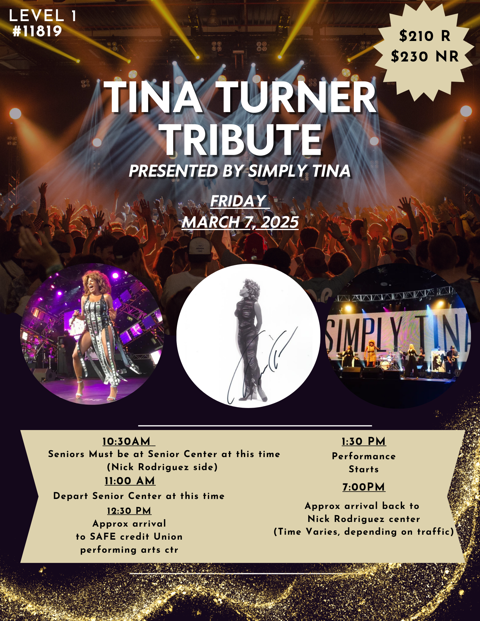 tina turner tribute